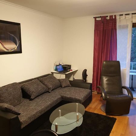 Breite Familien Apartment Basel Eksteriør bilde