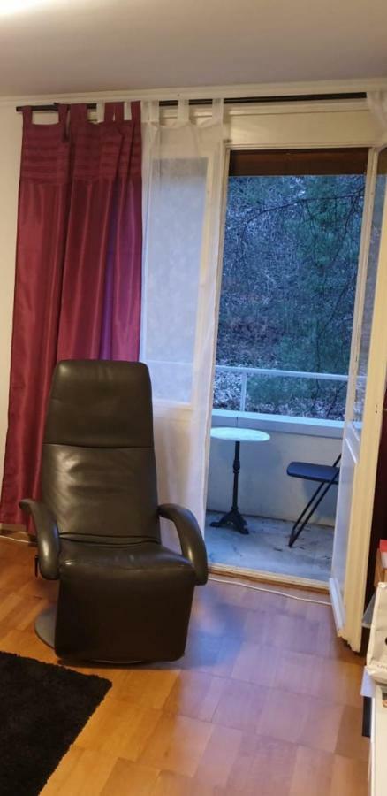 Breite Familien Apartment Basel Eksteriør bilde